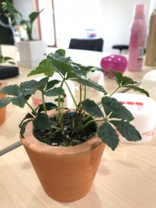 生きがい