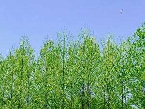 それだけで