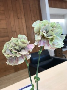 とらえかた