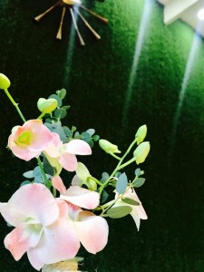 全てを楽しむ