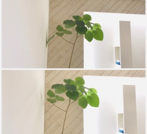 バランス
