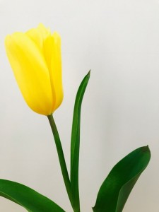 悩み